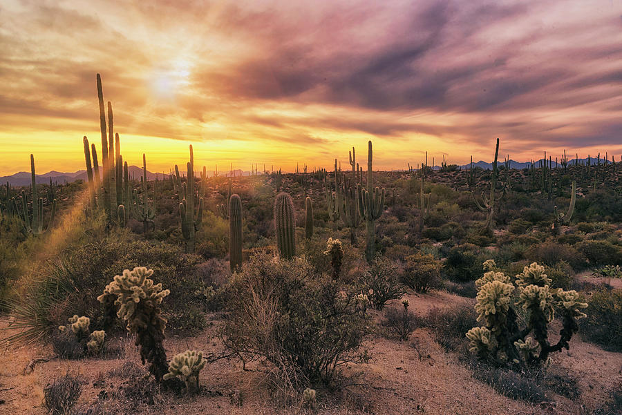 Sunset Somewhere In The Sonoran #1 Photograph by Saija Lehtonen