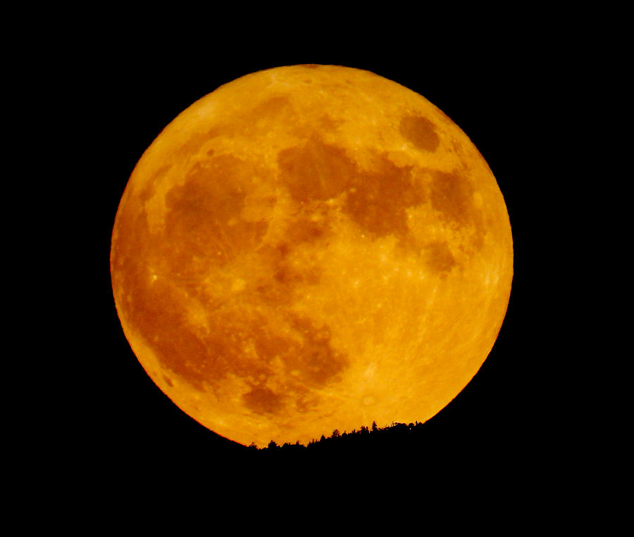 Super Blue Moon August 2024 Astrology Mabel Rosanna