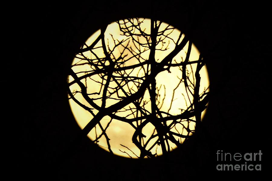 Super Moon Wrapped #2 Photograph by Emma Carter Brooks