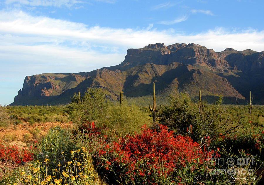 Superstition Mountains Red Flowers back of Gold Canyon Photograph by ...