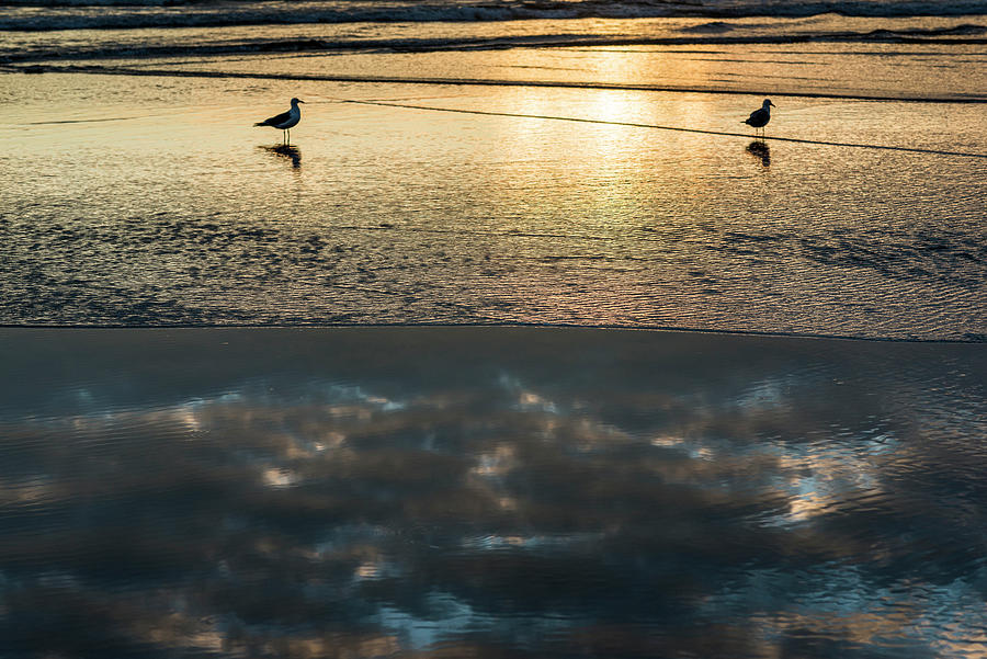 Surf Reflection #1 Photograph by Robert Potts