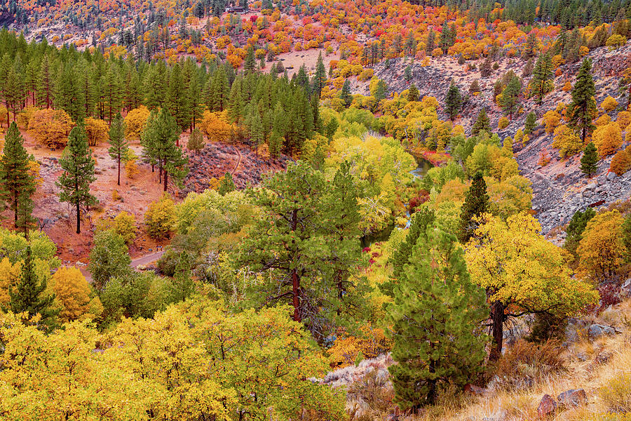 Susan River Canyon Autumn Vista #2 Photograph by Mike Lee
