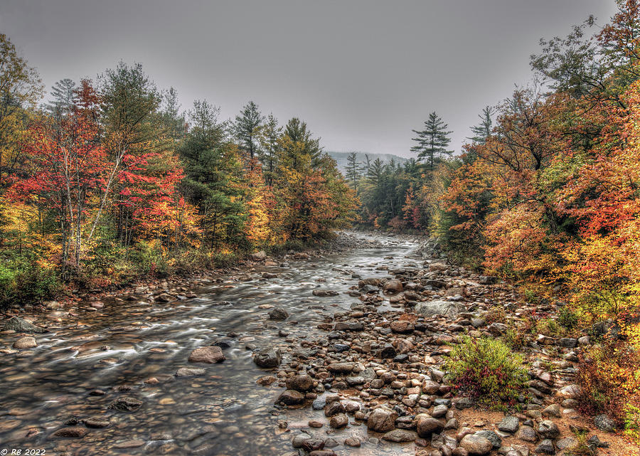 Swift River Autumn #1 Photograph by Richard Bean