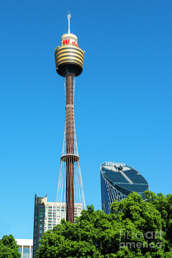 Sydney Tower Eye from Hyde Park, New South Wales, Westfield Sydney