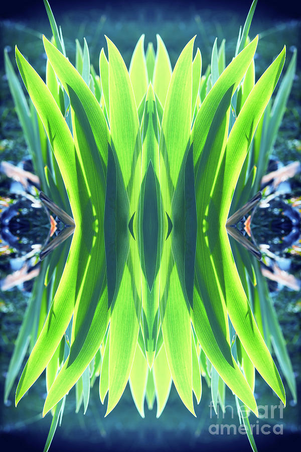 Symmetrical kaleidoscope surreal and abstract shapes of green leaves #1 Photograph by Gregory DUBUS