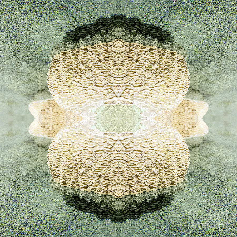 Symmetrical kaleidoscope surreal of gours calcite formation rimestone #1 Photograph by Gregory DUBUS