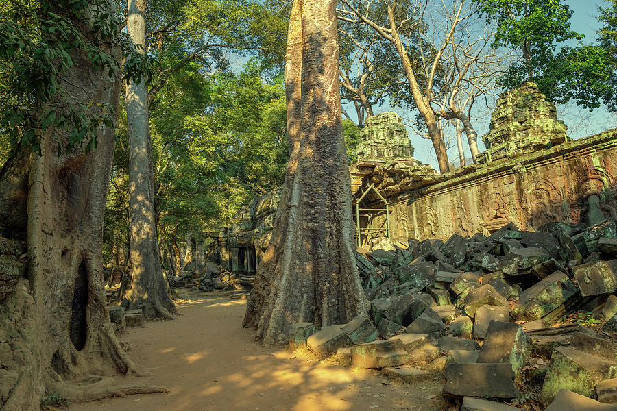 Ta Prohm temple in Angkor Wat Cambodia #1 Photograph by Mikhail Kokhanchikov