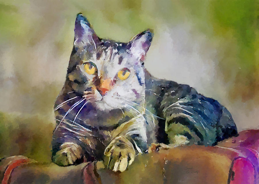 Tabby Cat Portrait #2 Mixed Media by Sandi OReilly
