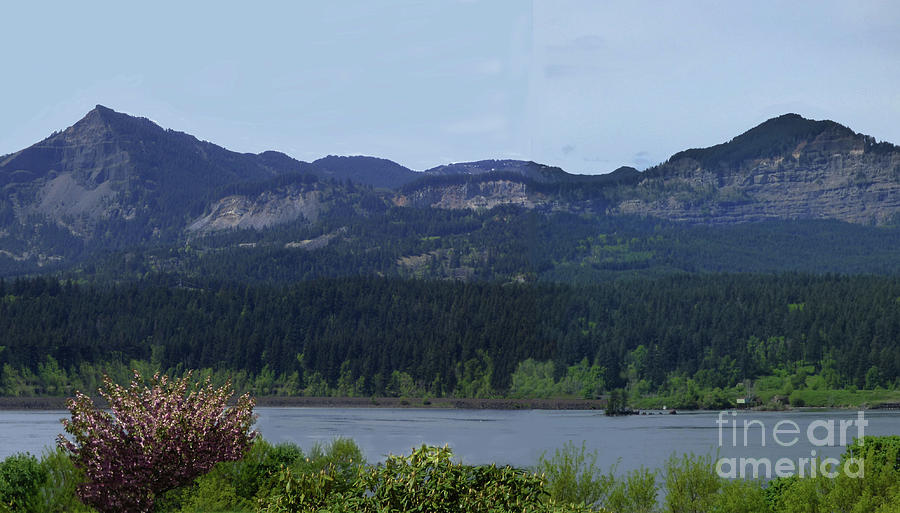 Table Mountain in the Columbia River Gorge #1 Photograph by Charles Robinson