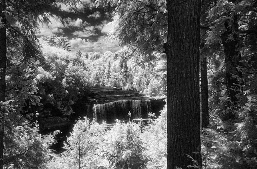 Tahquamenon Falls #1 Photograph by Jeffrey Holbrook