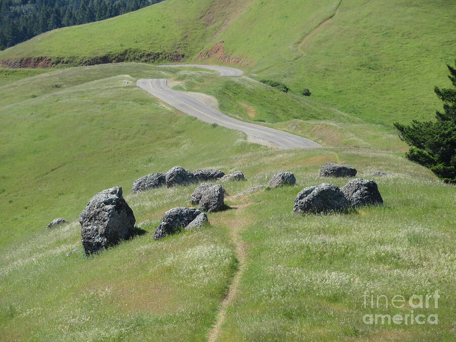 Tam-Henge Mt Tamalpais #1 Photograph by Mhana Mason - Fine Art America