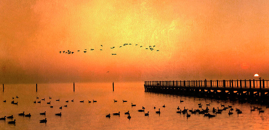 Tanner Park NY Dramatic Great South Bay by Jackie Connelly-Fornuff #2 Photograph by Jackie Connelly-Fornuff