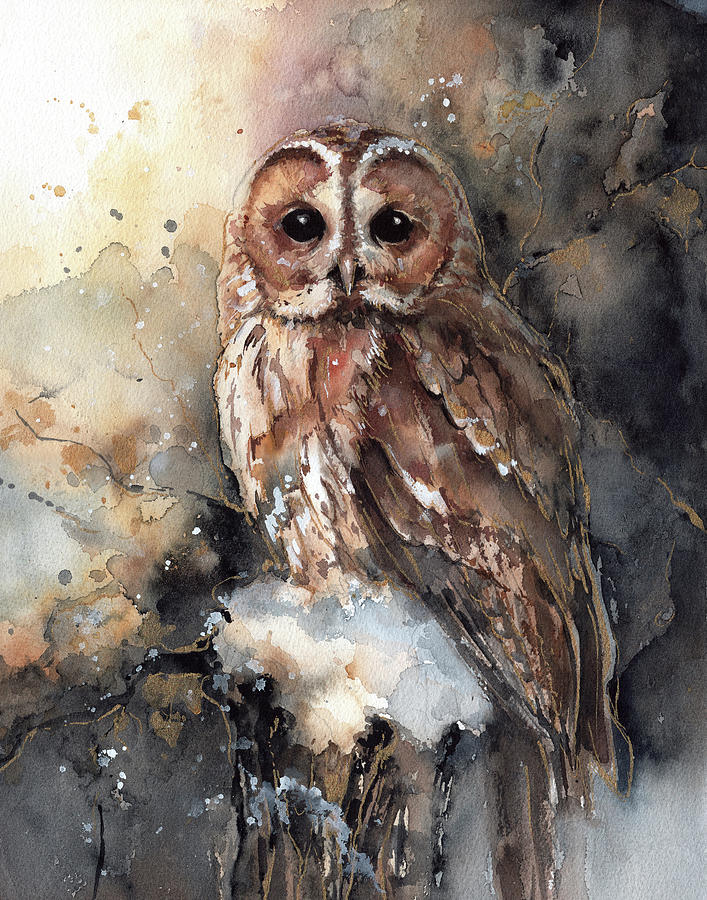 Tawny owl watercolor painting. Bird wall art. Bird lovers gift ...