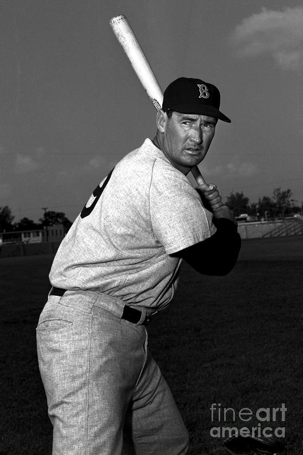 Ted Williams #1 Photograph by Olen Collection