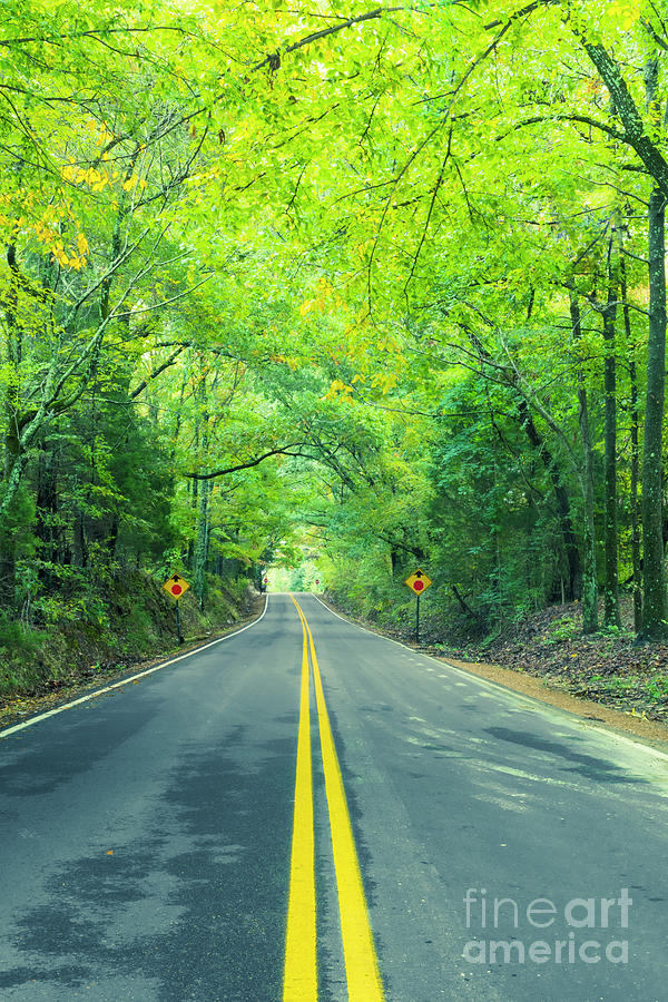 Tennessee backroads #1 Photograph by Ranjay Mitra