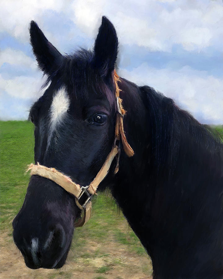 Tennessee Walker Horse Portrait #1 Painting by Portraits By NC