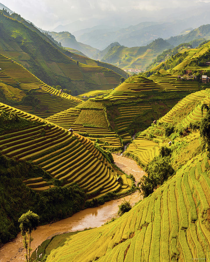 Terraced Rice Fields In Mu Cang Chai, Yen Bai, Vietnam Photograph by Le ...