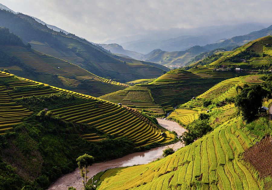 Terraced Rice Fields In Mu Cang Chai, Yen Bai, Vietnam Photograph by Le ...