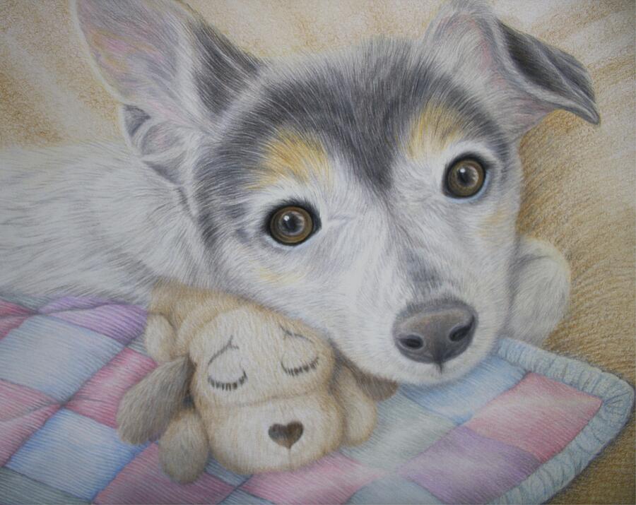 Cute Dog Drawing - Terrier Nuzzles Favorite Toy by Deidra Smith