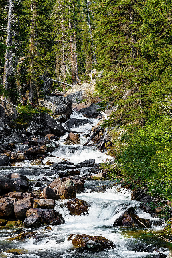 Tetons Photograph by Joe Flurer - Fine Art America