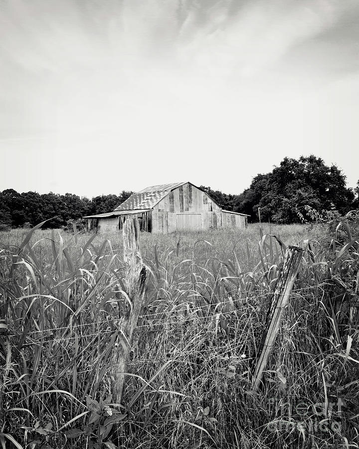 Texas Forgotten - Barn #1 Photograph by Chris Andruskiewicz