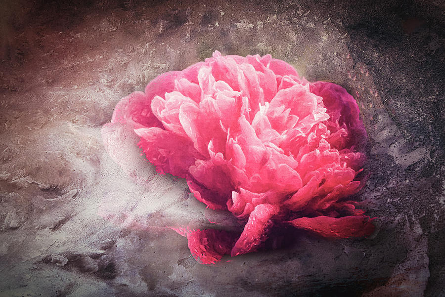 Textured Red Peony #1 Photograph by Philippe Sainte-Laudy
