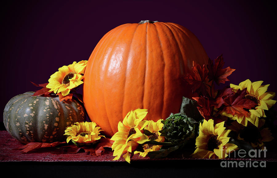 Thanksgiving Photograph - Thanksgiving Pumpkin Centerpiece #1 by Milleflore Images