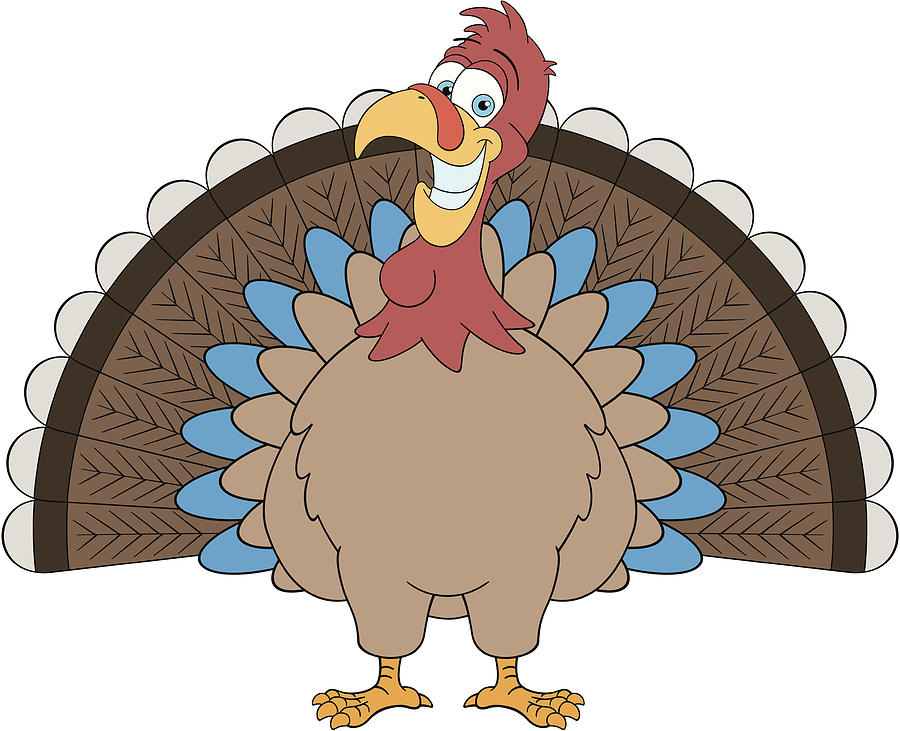 Thanksgiving Turkey #1 Drawing by Stevezmina1
