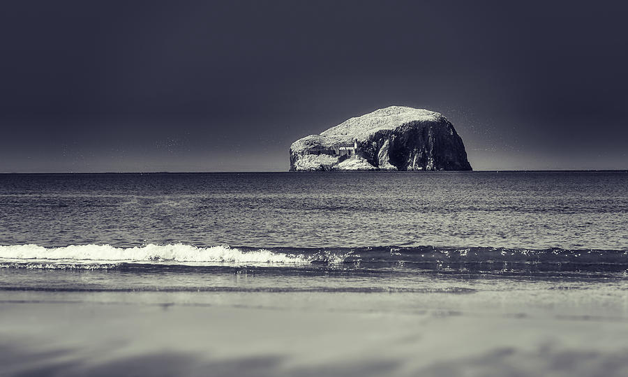 The Bass Rock Photograph by Martyn Boyd