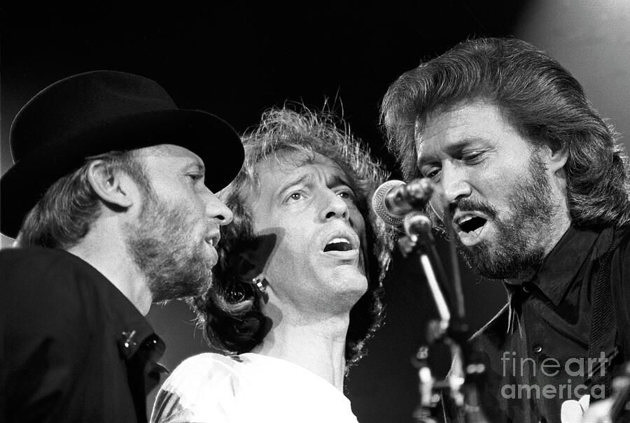 The Bee Gees Photograph by Concert Photos - Fine Art America