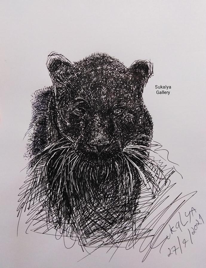 The Black Tiger Drawing by Sukalya Chearanantana