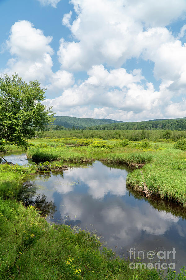The Blackwater River meanders through wetlands at Canaan Valley  #1 Photograph by William Kuta