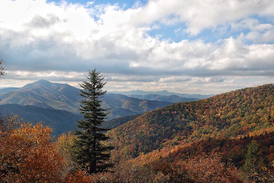 Fall Photograph - The mountains of Western North Carolina by Eileen OConnor