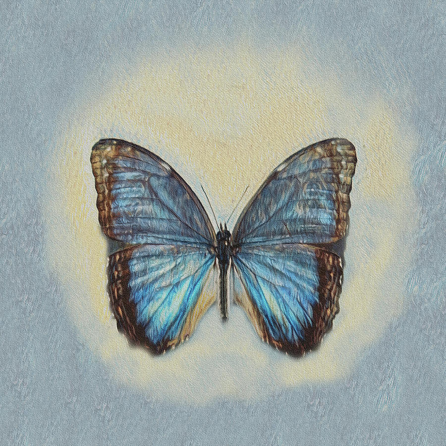 The Butterfly Digital Art