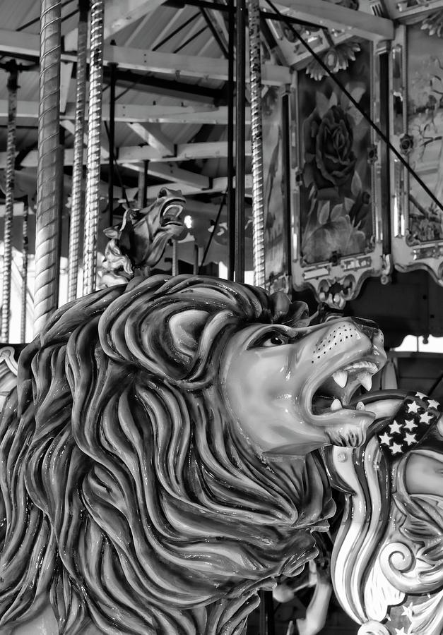 The Carousel #1 Photograph by Bob Pardue