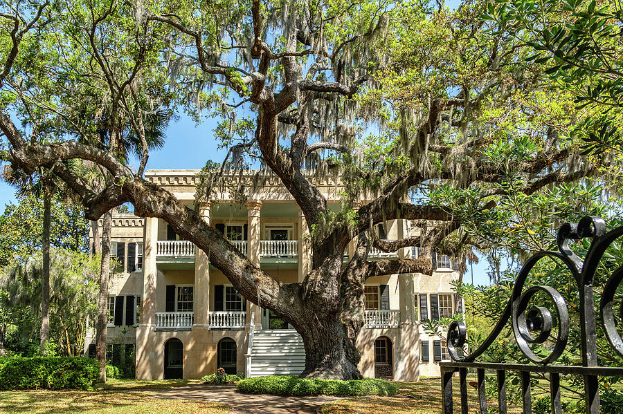 The Castle, Beaufort, South Carolina #1 Photograph by Dawna Moore Photography