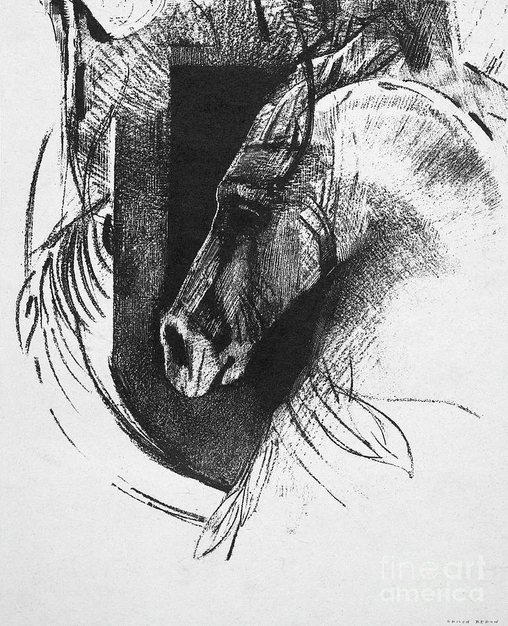 The Charger, 1894 #1 Drawing by Odilon Redon