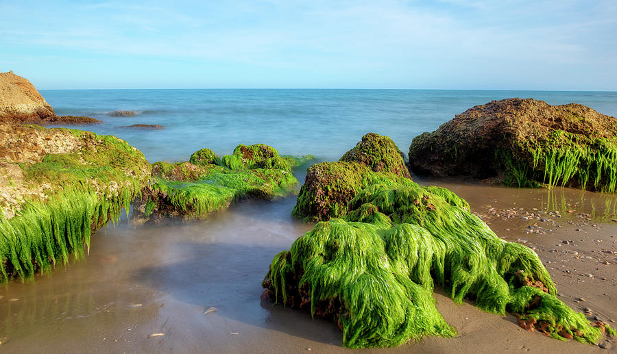 Lonely Photograph - The Coast Of Alcocebre On The Costa Azahar Coast Of Castellon by Vicen Photography Lonely Photograph - The Coast Of Alcocebre On The Costa Azahar Coast Of Castellon by Vicen Photography