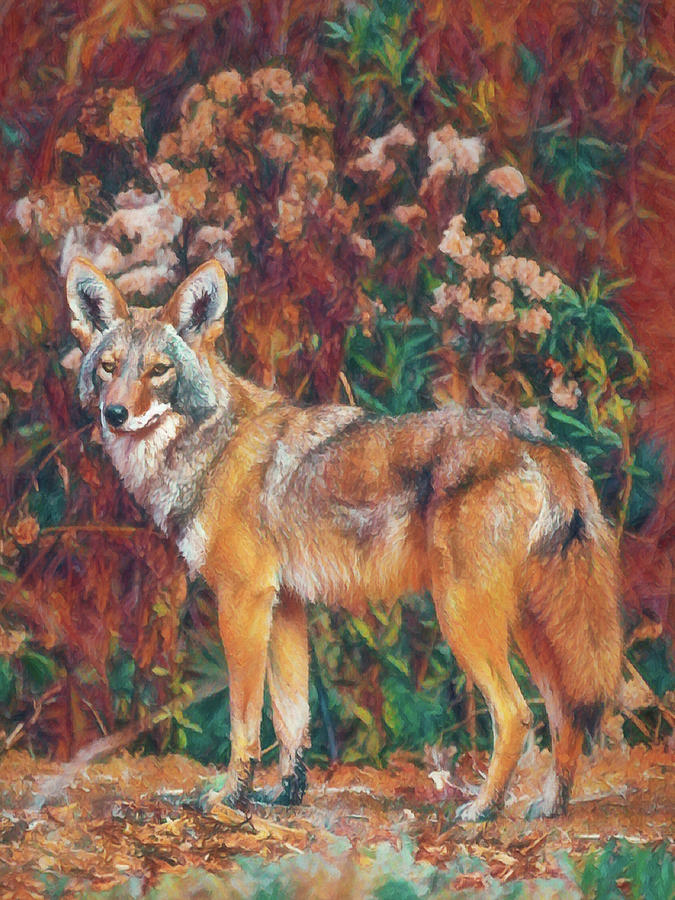 The Coyote 2 #1 Digital Art by Ernest Echols