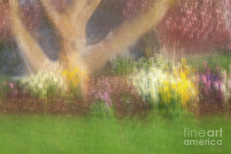 The Embrace of Spring #1 Photograph by Marilyn Cornwell