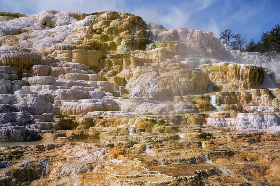 The Ever Changing Travertine Terraces At Mammoth Hot Springs