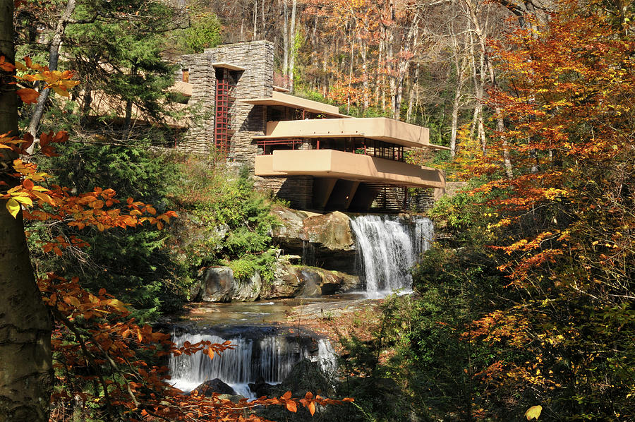 Tree Photograph - The Fallingwater #1 by Edwin Verin