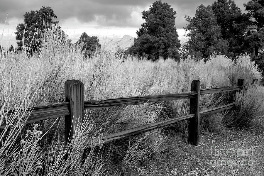 The Fences with Tumbleweed Photograph by Ivete Basso Photography