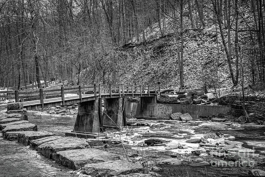The Foot Bridge #1 Photograph by William Norton