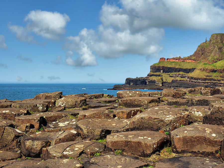The Giants Causeway, Northern Ireland #1 Photograph by Mark Llewellyn