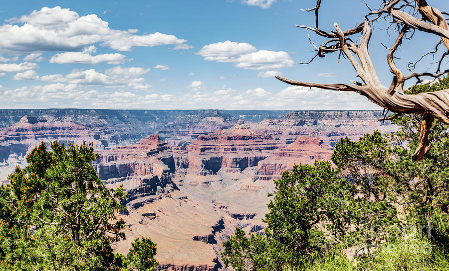The Grand Canyon landscape in Arizona, USA. #1 Photograph by Michal Bednarek