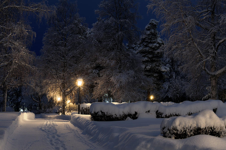 The graves Photograph by Christer Andersson - Fine Art America