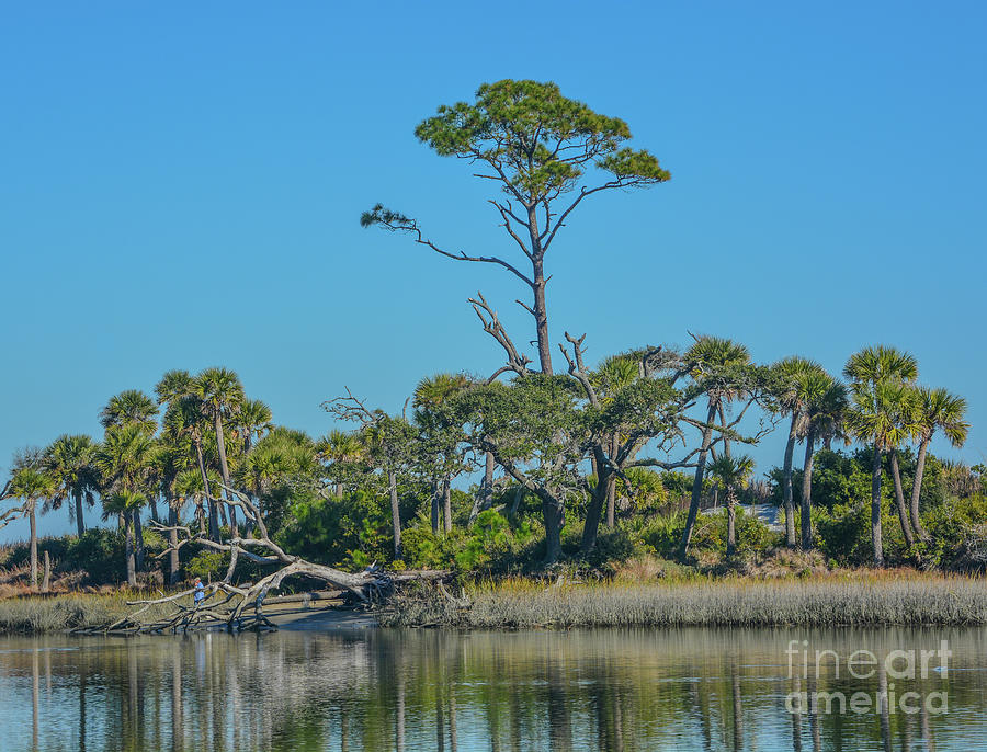 The Lagoon On Hunting Island. On The Atlantic Ocean, Beaufort County, South Carolina Photograph