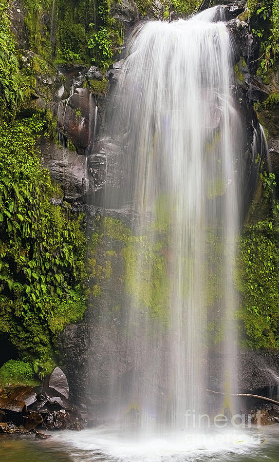 The lost waterfall trail near Boquete in Panama. Fasll number tw #2 Photograph by Marek Poplawski