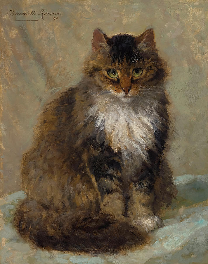 The Maine Coon Painting